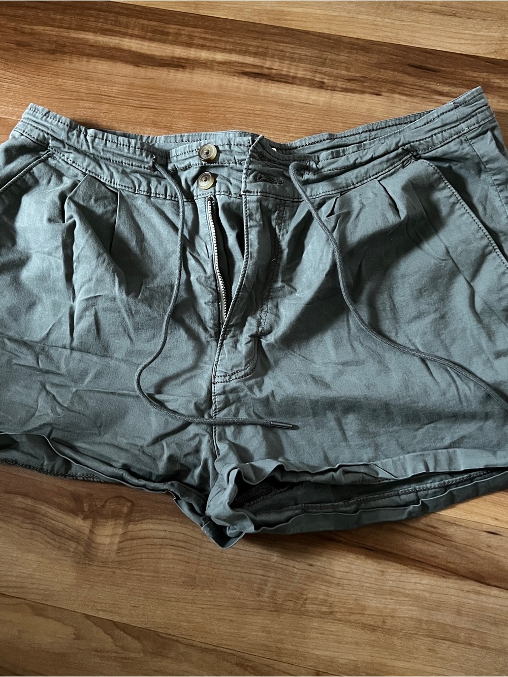 American Eagle Outfitters Olive Green Drawstring Flat Front Shorts